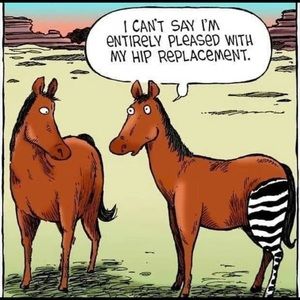 Meet your Posher, Lesley